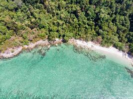 Above view of emerald tropical sea with coral reef photo