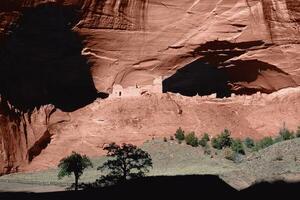 A large rock formation with a tree in front of it photo