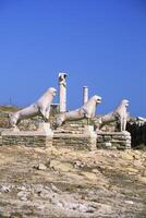 A group of statues of lions photo