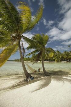 A man is relaxing in a hammock under a palm tree photo