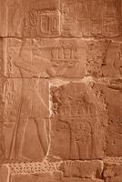 Ancient egyptian reliefs on the walls of a building photo