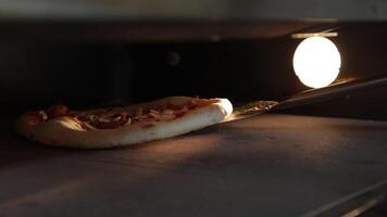 Pizza baking in a professional oven video