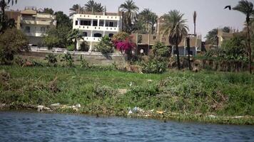 LUXOR, EGYPT - APRIL 5, 2019 Tview of the shore from a boat on the Nile River, garbage along the shore. Environmental pollution, environmental problem. Egypt video