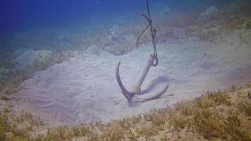 Iron anchor on a sandy bottom near a coral reef, Red Sea, Egypt video