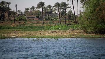 LUXOR, EGYPT - APRIL 5, 2019 Tview of the shore from a boat on the Nile River, garbage along the shore. Environmental pollution, environmental problem. Egypt video