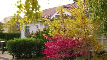 A Charming Autumn Home Surrounded by Vibrant and Colorful Foliage and Natures Beauty video