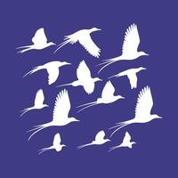 A collection of birds icon logotype from around the world vector