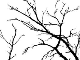 Tree and Branch background style. vector