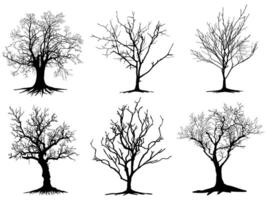 Black Trees and root with leaves look beautiful and refreshing. Tree and roots LOGO style. vector