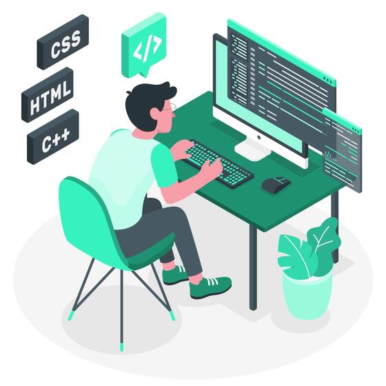 Computer Programer Stock Video Footage for Free Download