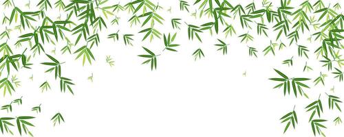 background banner with green bamboo leaf beautiful concept copy space for text vector