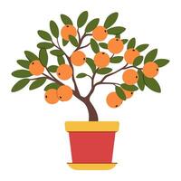 Tangerine tree in a pot. Exotic small tree with fruits. Isolated on white background. vector