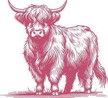 Highland Cow Artwork with Vintage Rustic Details vector