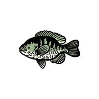 illustration graphic fish for design, template, elemen, illustration, etc vector