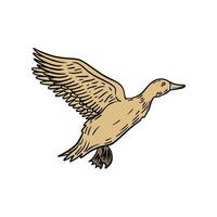 illustration graphic duck for design, template, elemen, illustration, etc vector