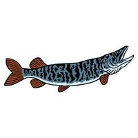 illustration graphic fish for design, template, elemen, illustration, etc vector