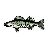 illustration graphic fish for design, template, elemen, illustration, etc vector