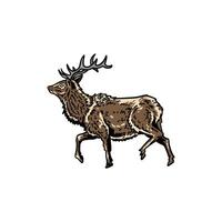 illustration graphic deer for design, template, elemen, illustration, etc vector