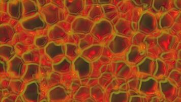 Abstract Beautiful Gradient Background Animation. video