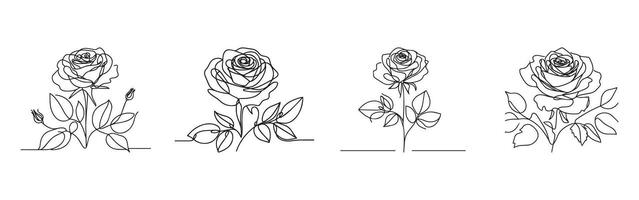 Set of Elegant One-Line Rose Drawings, Rose Line Art Illustration Set on White Background vector