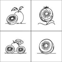Set of Elegant One Line Kiwi Drawings, Kiwi Line Art Illustration Set on White Background vector
