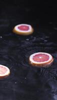 Citrus slices with coniferous branches in water video