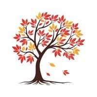 Autumn tree template icon vector