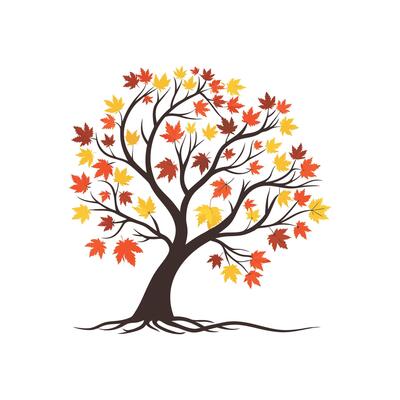 Autumn tree illustration ,
