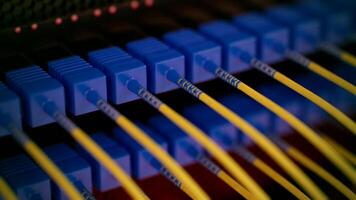 Fiber Optical internet and network cable connected in modern switch. Concept of modern Internet connection. Selective focus, close up, soft and blurred background. photo