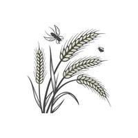 A wheat field with a bee and some wheat vector