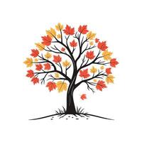 Autumn tree illustration template vector