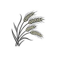 A stylized illustration of wheat on a white background vector