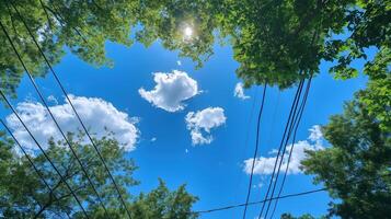 Blue sky framed by treetops and power lines image. Lush green trees foliage. Bright summer day photography scene wallpaper. Natural urban composition concept photorealistic photo