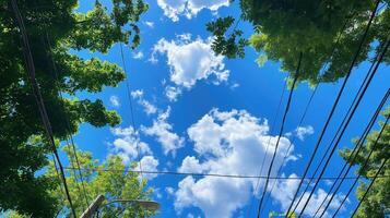 Fluffy clouds and trees canopy with power lines image. Sunny sky powerlines. Bright summer day photography scene wallpaper. Natural urban composition concept photorealistic photo