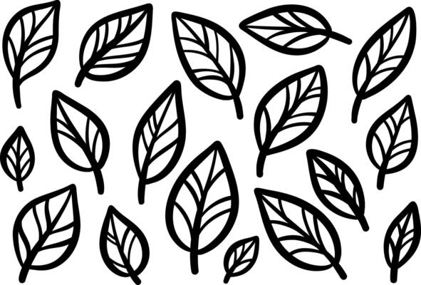 Leaf set, line art ink illustration doodle decorative leaves set