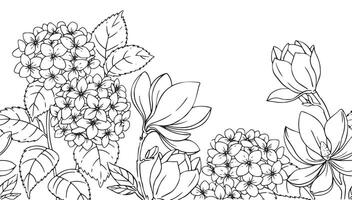seamless border with magnolia and hydrangea flowers. illustration in sketch style. coloring book vector