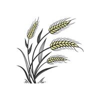 A wheat field with some wheat stalks vector