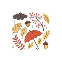 Autumn leaves and raindrops illustration vector