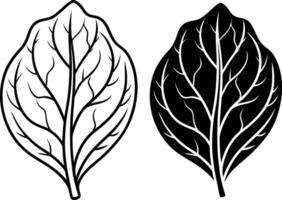 Black and White Spinach Leaf Illustrations Veins, Design, Botany vector