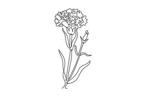 Continuous one line drawing of beauty fresh carnation for home wall art decor print poster. Decorative dianthus caryophyllus flower invitation card. Single line draw design graphic illustration vector