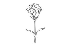 Single one line drawing of beauty fresh carnation for home wall decor poster print art. Decorative clove pink flower concept for greeting card. Continuous line draw design graphic illustration vector