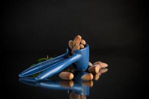 hazelnuts with nutcracker isolated on black background photo