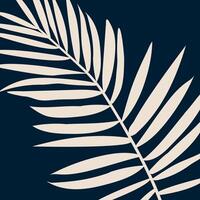 Leaf close-ups on a light background tropical vector