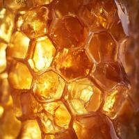 Close-up of honey-filled beehive cells, with golden, glistening honey oozing from the edges of the hexagonal comb photo