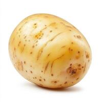 potato isolated on white background close up photo
