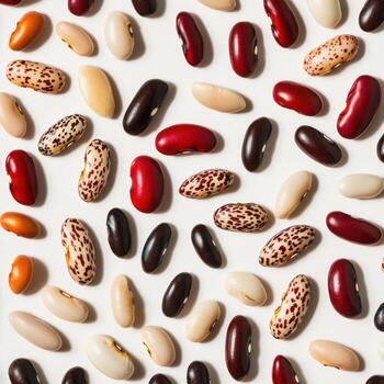 A close-up of a variety of dried beans isolated on a clean white background photo