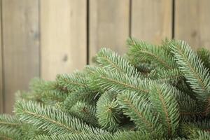 A bunch of green pine needles are on a wooden surface. The needles are arranged in a way that they are not touching each other photo