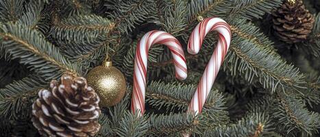 Close-up of a Christmas tree, its branches adorned with candy canes and gold ornaments, with pine cones in the background. photo