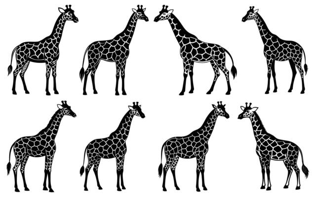 Six Silhouettes of Giraffes in Profile
