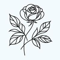 A rose is drawn in a line on a white background vector